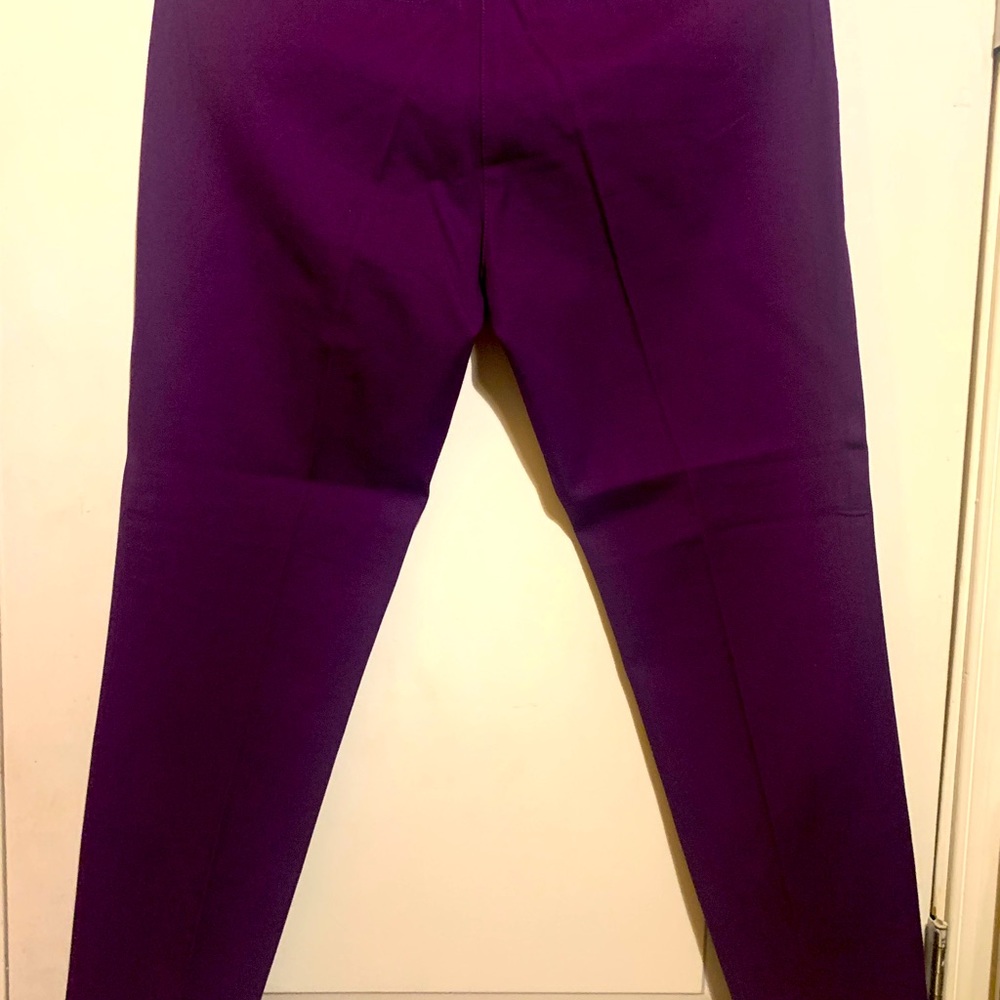 Purple dress pants from new York and Co.